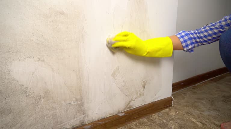Best Mold Remediation for Healthcare Facilities  in Bell Nyon, CA